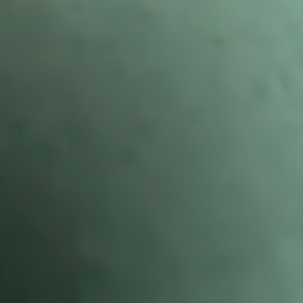 Meet your Posher, Leylani